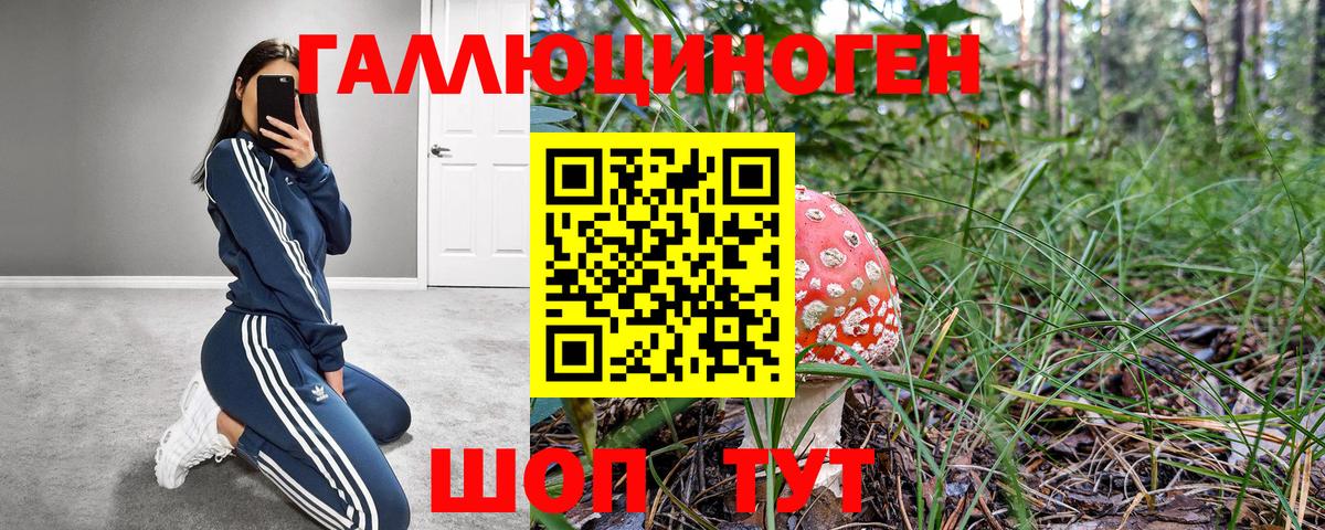Галлюциногенные грибы Magic Shrooms  Галлюциногенные грибы Cubensis  Вход с VPN  Новосибирск 